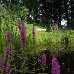 Huisje in Nijkerk