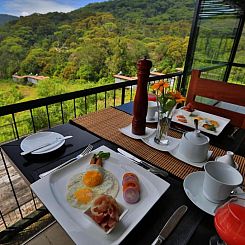 The Rainforest Ecolodge - Sinharaja