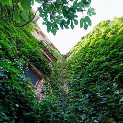 El Jardín Vertical