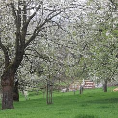 Vakantiehuisje in Vijlen