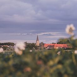 Vakantiehuis in Scheulder