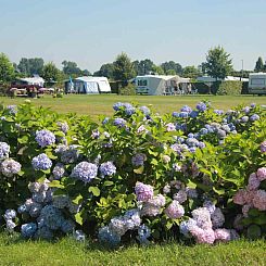 Heerlijk gelegen 2 persoons suite nabij Baarle-Nassau en