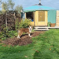 Vakantiehuisje in Liempde