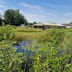 Huisje in Moergestel