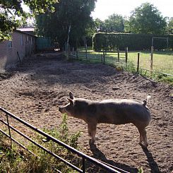 De Lindenhoeve