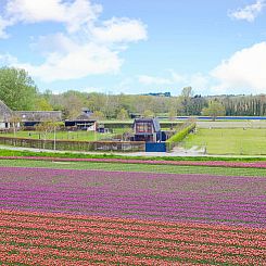 Huisje in Egmond aan den Hoef