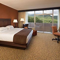 The Park Vista - A DoubleTree by Hilton Hotel - Gatlinburg