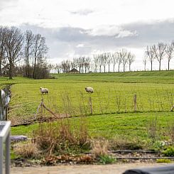 Huisje in Zuidoostbeemster