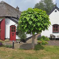 B&B Het Bakhuis