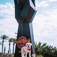 Hard Rock Hotel Ibiza