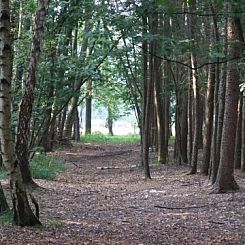 Landgoed Nieuwhuis