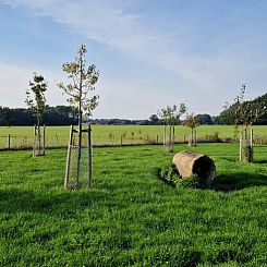 Vakantiehuis in Ambt Delden