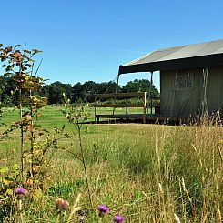 Twentse Buitenleven - Familie lodgetent - luxe kamperen