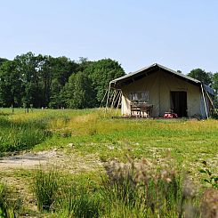 Twentse Buitenleven - Familie lodgetent - luxe kamperen