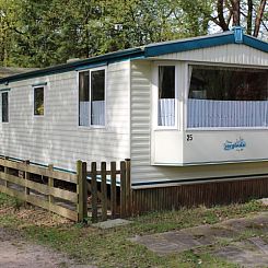 Vintage Forest Chalet 