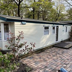 Vintage Forest Chalet 