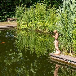 Vakantiehuisje in Balkbrug