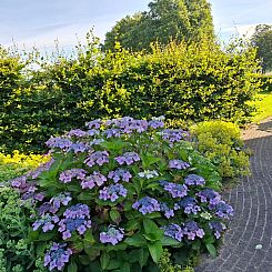 2 persoons vakantiehuis bij een boerderij in Beerzerveld