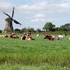 Boerderijappartement voor 7 personen aan de Vecht