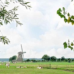 Boerderijappartement voor 7 personen aan de Vecht