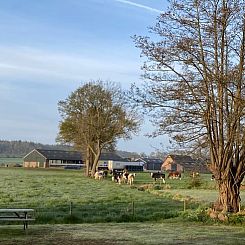 Vakantiehuis in Rhenen