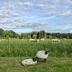 Huisje in Langbroek