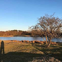 Vrijstaande 5-pers. vakantiewoning met grote tuin in