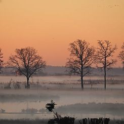 Huisje in Renesse