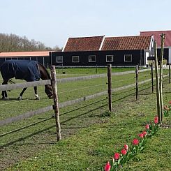 Huisje in Noordgouwe