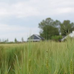 Huisje in Koudekerke