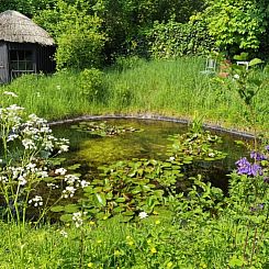 Huisje in Goedereede