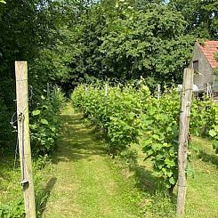 Vakantiehuisje in Groesbeek