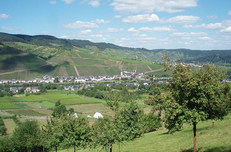 Weingut Justen-Kiebel