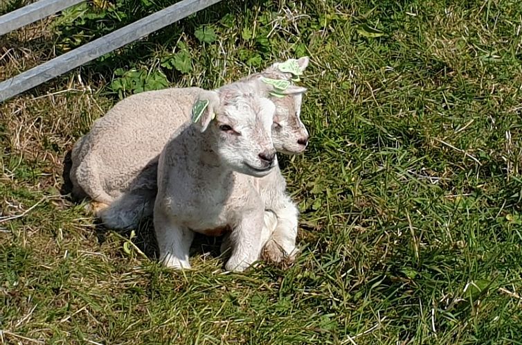 Vakantiehuisjes Familie Bouthoorn