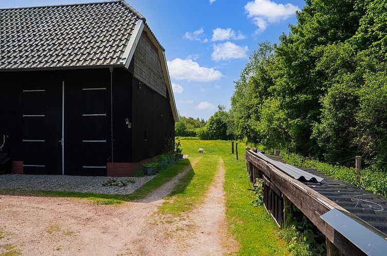 Dwingelderveld Dichtbij