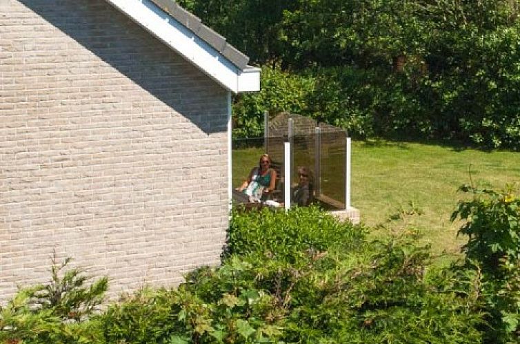 De kemphaan: Vakantiehuis Texel