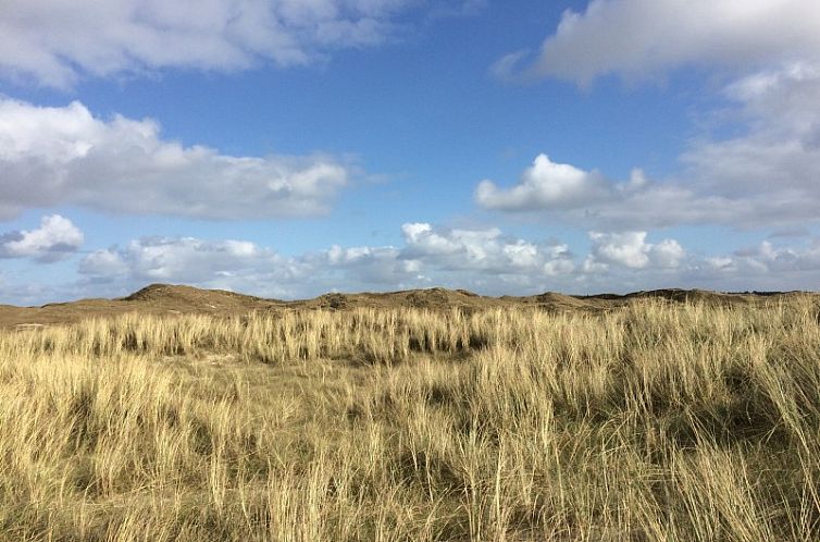 Texel Bungalow 275