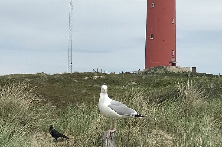 De Prins / Jonker / Jonkvrouw