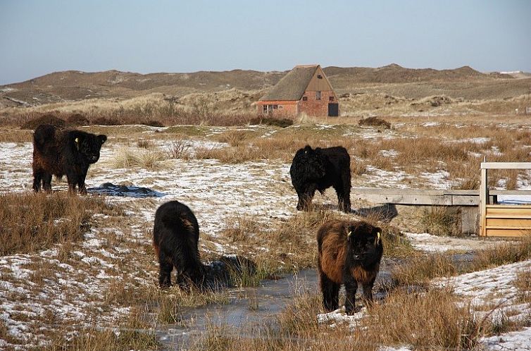 Texel Villa Duinzicht