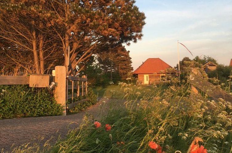 Texel Villa Duinzicht