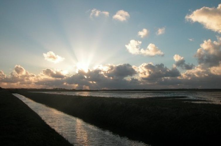 De Kemphaan: Bungalow