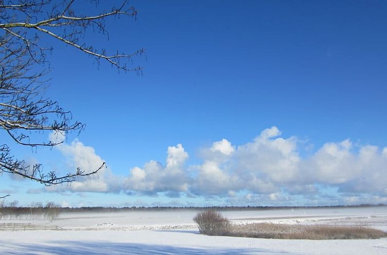 Vakantiehuis in Den Hoorn