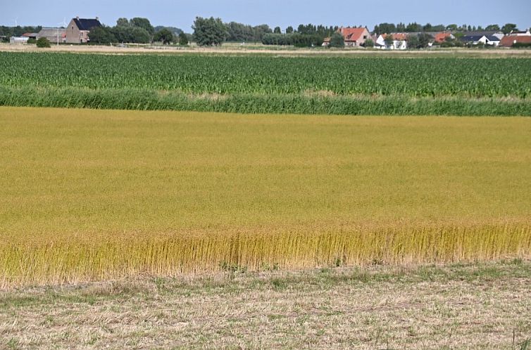 appartement Zeepolder