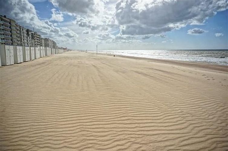 20 groepsaccommodatie in bruisende badplaats Koksijde