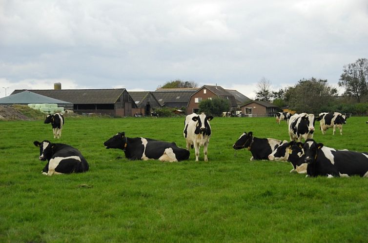 3980 Boerderij Leiden