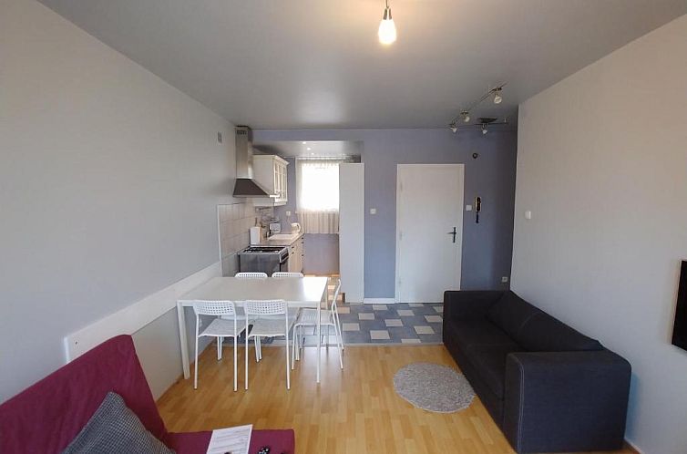 Apartament Saski