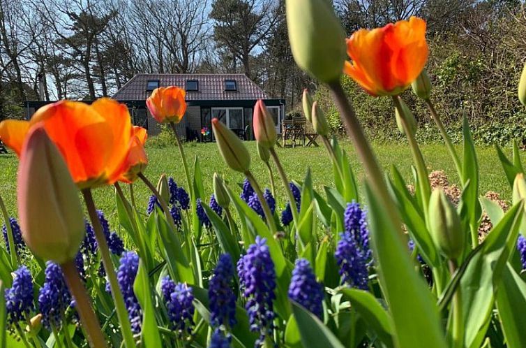 't Bollenveld - Iris