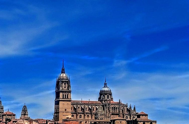 Hotel Puente Romano de Salamanca