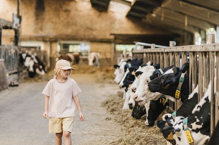 Boerderijvakantie 't Donderswal