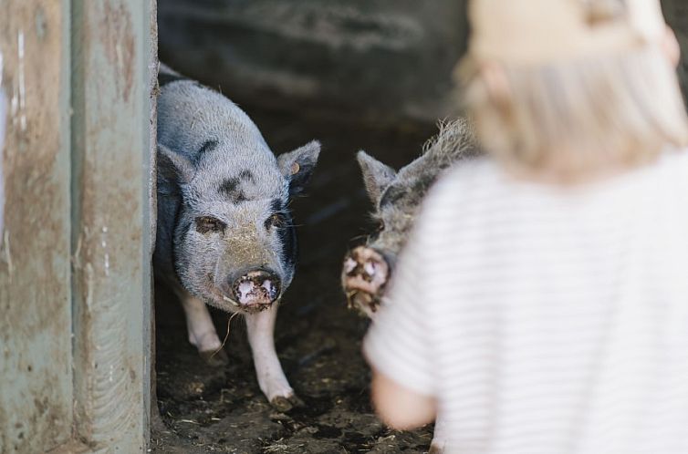 Boerderijvakantie 't Donderswal